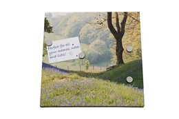 Bluebell woods